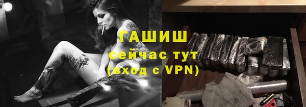 индика Алзамай