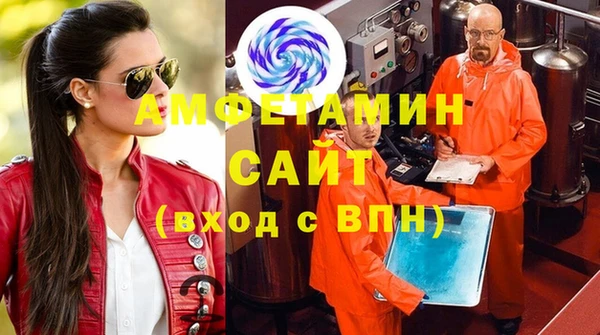 индика Алзамай
