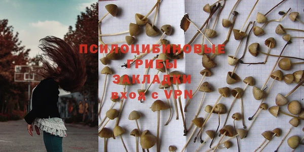 индика Алзамай