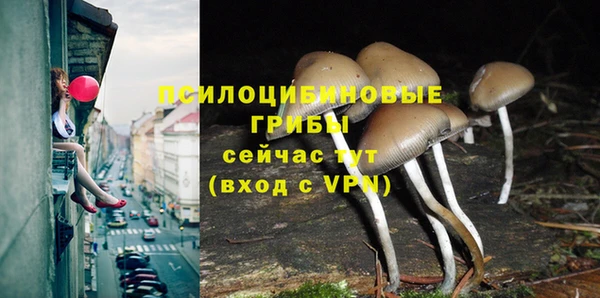 индика Алзамай
