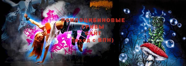 дурь Алексеевка