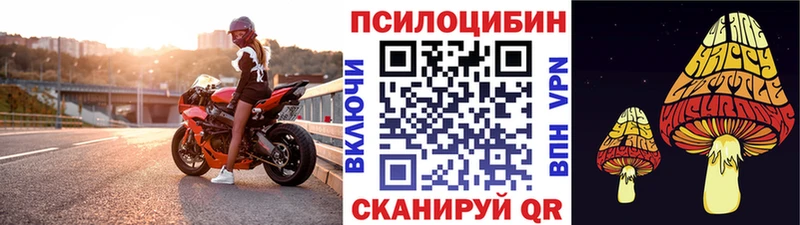 Галлюциногенные грибы ЛСД  купить наркотики цена  Николаевск-на-Амуре 